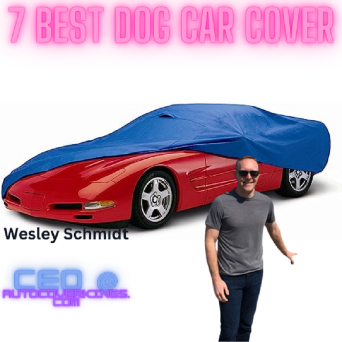 Best dog car cover